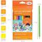 Карандаши цветные Гамма "Оранжевое солнце", 12цв. (6 классич. + 6 пастельных), заточен., картон, европодвес