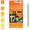 Карандаши цветные Гамма "Оранжевое солнце", 12цв. (6 классич. + 6 неон.), заточен., картон, европодвес