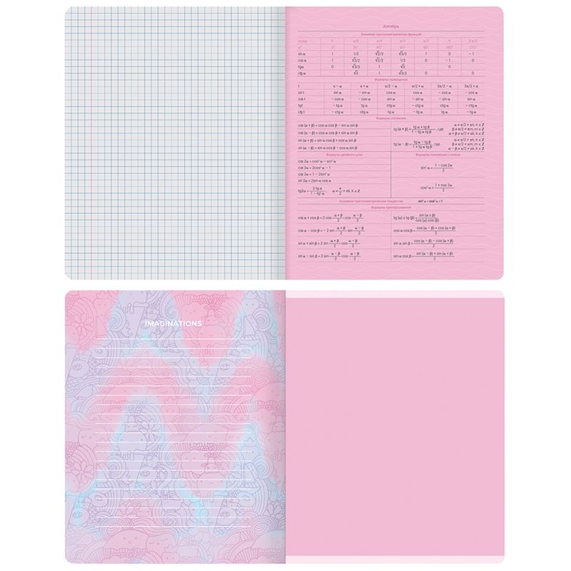 Тетрадь предметная 48л. MESHU "Candy color" - Алгебра, "софт-тач" ламинация, тиснение фольгой