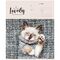 Тетрадь 12л., клетка ArtSpace "Питомцы. Lovely Cat", эконом