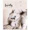 Тетрадь 12л., клетка ArtSpace "Питомцы. Lovely Cat", эконом