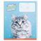 Тетрадь 18л., линия ArtSpace "Питомцы. Funny cats", эконом
