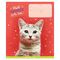 Тетрадь 18л., линия ArtSpace "Питомцы. Funny cats", эконом