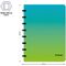 Бизнес-тетрадь А5+, 80л., Berlingo "Radiance", клетка, на кольцах, с возм. замены блока, 80г/м2, пластик. обложка 700мкм, линейка-закладка, голуб./зел