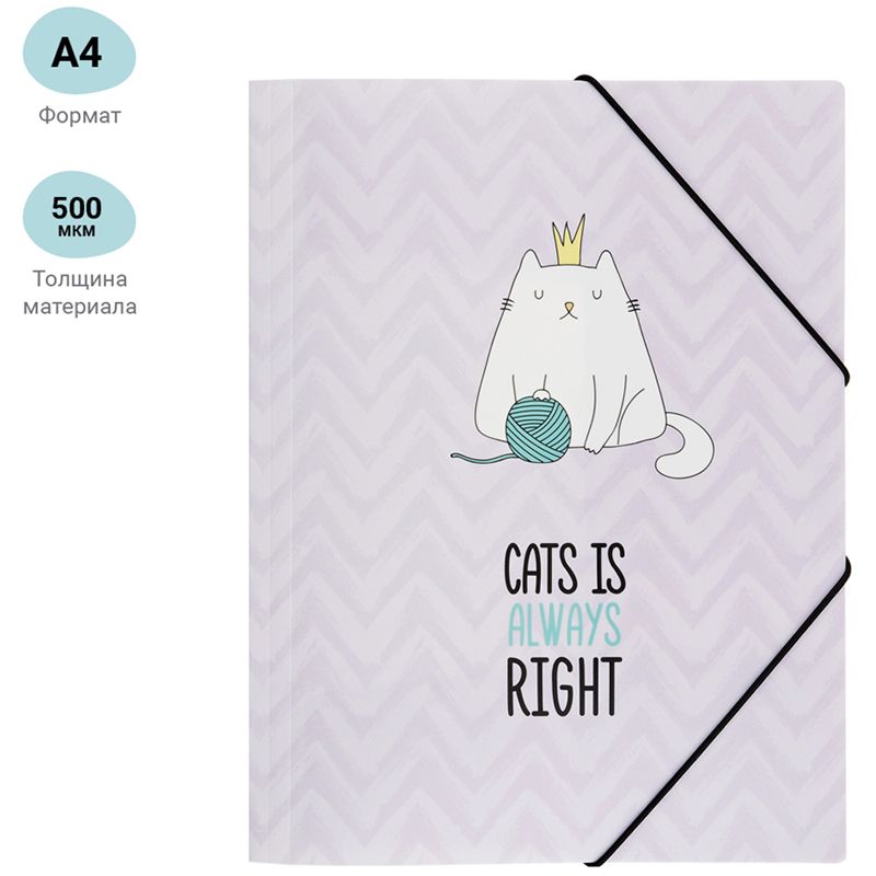 Папка на резинке MESHU "Right cat" А4, 500мкм