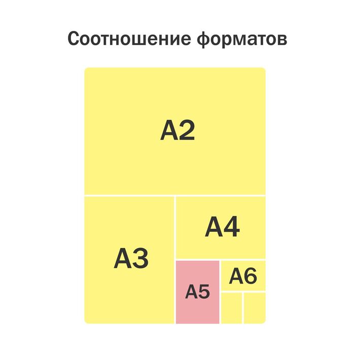 Тетрадь 96л., А5, клетка ArtSpace "Питомцы. Cat"