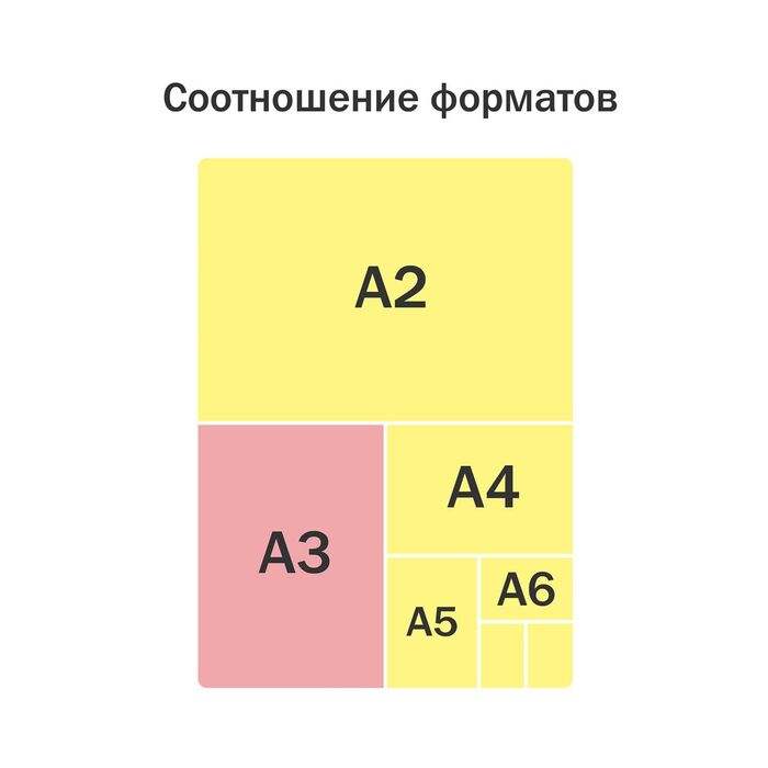 Папка для чертежей и рисунков А3 ArtSpace "Skate", пластик, 70мм, на молнии