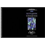 Скетчбук, черная бумага 160 г/м2, 200х295 мм, 20 л., гребень, HATBER Premium, Ирисы, 20А4Aгр_23480