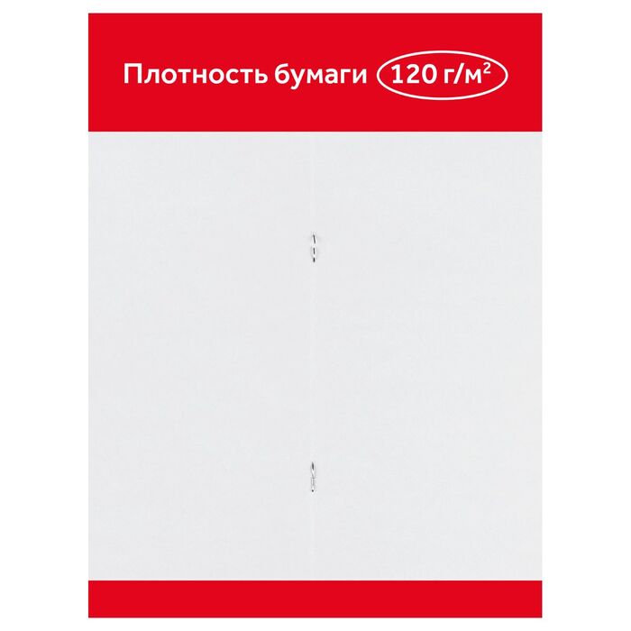 Альбом для рисования 24л., А4, на скрепке Гамма "Мультики", 120г/м2
