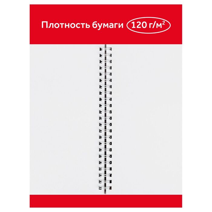 Альбом для рисования 40л., А4, на гребне Гамма "Мультики", 120г/м2