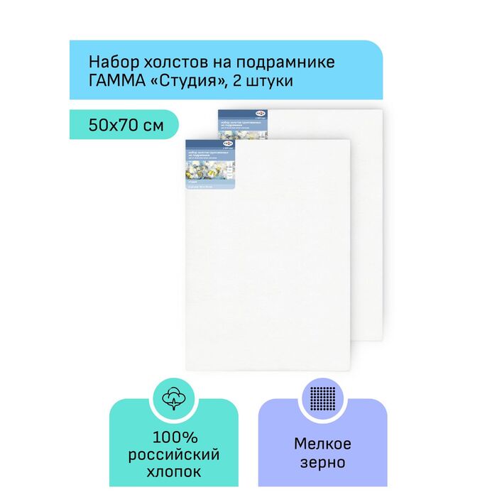 Набор холстов на подрамнике Гамма "Студия", 2шт., 50*70см, 100% хлопок, 280г/м2, мелкое зерно