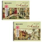 Альбом для рисования, А4, 40 листов, гребень, обложка картон, BRAUBERG, 195х285 мм, "Город мечты" (2 вида), 103731