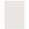 Картон белый БОЛЬШОГО ФОРМАТА, А2 МЕЛОВАННЫЙ (глянцевый), 10 листов, в папке, BRAUBERG, 400х590 мм, 124764
