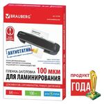 Пленки-заготовки для ламинирования АНТИСТАТИК, А4, КОМПЛЕКТ 100 шт., 100 мкм, BRAUBERG, 531793