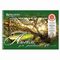 Альбомы для рисования А4 40 л., КОМПЛЕКТ 2 шт., гребень, обложка картон, BRAUBERG, 205х290 мм, "Природа" (2 вида), 880031