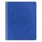 Дневник 1-11 кл. 48л. (твердый) ArtSpace "Electric blue", иск. кожа, тиснение, ляссе