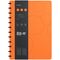 Бизнес-тетрадь А4+, 80л., Berlingo "Eclipse", клетка, на кольцах, с возм. замены блока, 80г/м2, пластик. (полифом) обложка, линейка-заклад., оранжевая