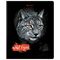 Тетрадь А5, 48 л., BRAUBERG, скоба, клетка, выборочный лак, "Wild eyes" (5 видов в спайке), 404343