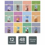Тетради предметные, КОМПЛЕКТ 12 ПРЕДМЕТОВ, "DELIGHT", 48 л., обложка картон, BRAUBERG, 404606