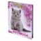 Блокнот МАЛЫЙ ФОРМАТ 110х147 мм А6, 80 л., твердый переплет, клетка, выборочный лак, BRAUBERG, "Котята", 122192