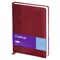 Ежедневник датированный 2024г., А4-(B5), 184л., кожзам, Berlingo "Vivella Prestige", бордовый