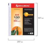 Папки-файлы перфорированные, А4, BRAUBERG, комплект 100 шт., матовые, 30 мкм, 221991