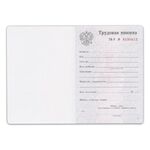 Бланк документа "Трудовая книжка", 88х125 мм, ГОЗНАК
