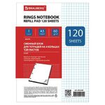 Сменный блок для тетради на кольцах, А5, 120 л., BRAUBERG, "Белый", 403260