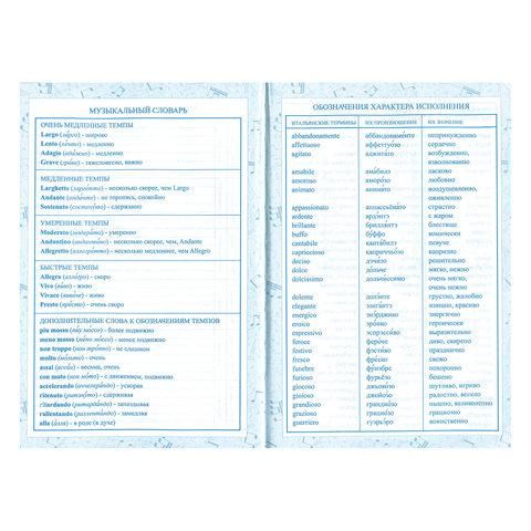 Дневник для музыкальной школы 140х210 мм, 48 л., твердый, BRAUBERG, справочный материал, "Музыка", 104975