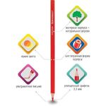 Карандаши цветные BRAUBERG PREMIUM, 6 цветов, шестигранные, грифель мягкий 3,3 мм, 181655