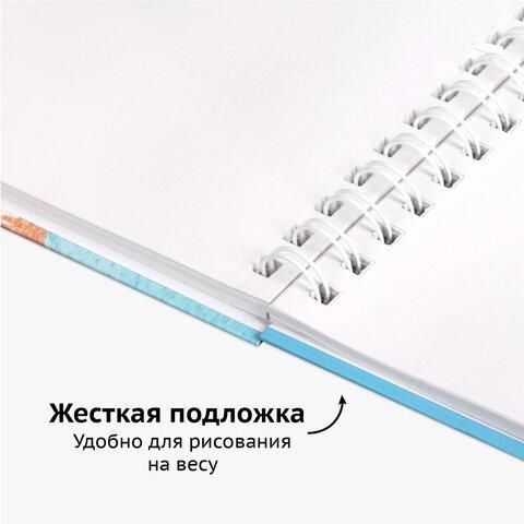 Скетчбук, белая бумага 100 г/м2, 210х290 мм, 80 л., гребень, твердая обложка, BRAUBERG ART DEBUT, 112987