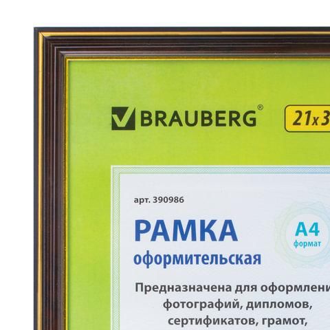 Рамка 21х30 см, пластик, багет 20 мм, BRAUBERG "HIT3", красное дерево с двойной позолотой, стекло, 390986