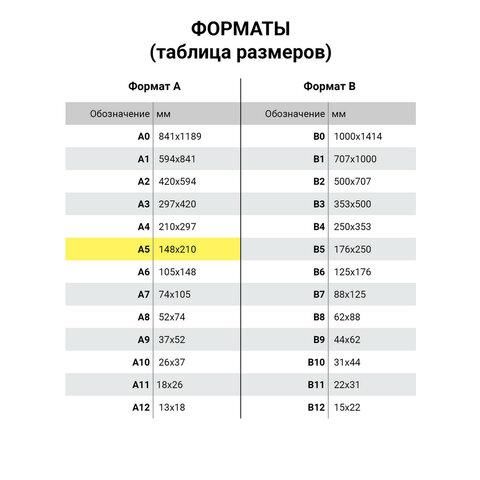 Тетрадь 48 л. в клетку обложка кожзам под рогожку, сшивка, A5 (147х210мм), ГОЛУБОЙ, BRAUBERG BRIGHT, 403846