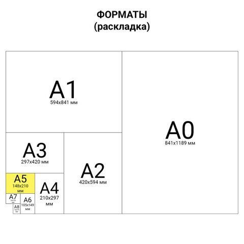 Тетрадь на кольцах А5 (165х215 мм), 120 листов, твердый картон, клетка, ОФИСМАГ, Офисный стиль, 403280