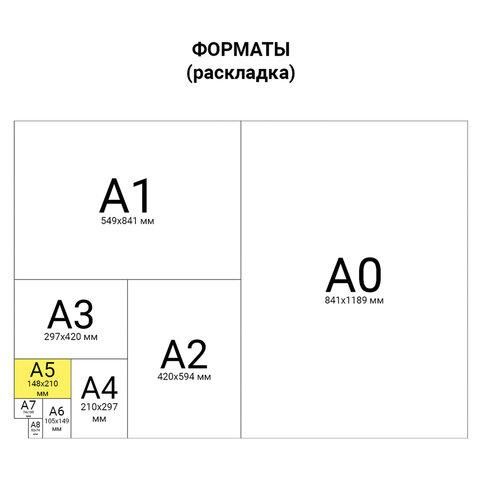 Бумага офисная МАЛОГО ФОРМАТА (148х210), А5, 80 г/м2, 500 л., марка А+, Германия, DATA COPY, 170% (CIE), 521839