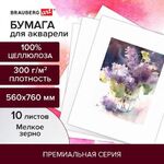 Бумага для акварели 300 г/м2 560x760 мм мелкое зерно, 10 листов, BRAUBERG ART PREMIERE, 113237