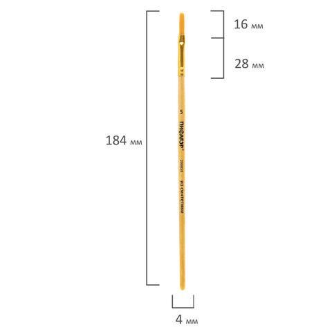 Кисть ПИФАГОР, СИНТЕТИКА, плоская, № 5, деревянная лакированная ручка, с колпачком, 200858