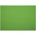 Картон плакатный 48*68см, Мульти-Пульти, 10л., мелованный в пакете, зеленый, 380г/м2