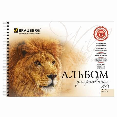 Альбомы для рисования А4 40 л., КОМПЛЕКТ 2 шт., гребень, обложка картон, BRAUBERG, 205х290 мм, "Хищники" (2 вида), 880028