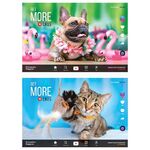 Альбом для рисования 12л., А4, на скрепке ArtSpace "Питомцы. More likes", эконом