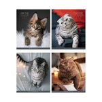 Тетрадь 96л., А5, клетка ArtSpace "Питомцы. Cat"