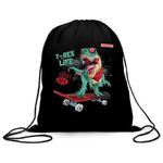 Мешок для обуви ПИФАГОР, 1 отделение, 40х32 см, "T-Rex", 271606