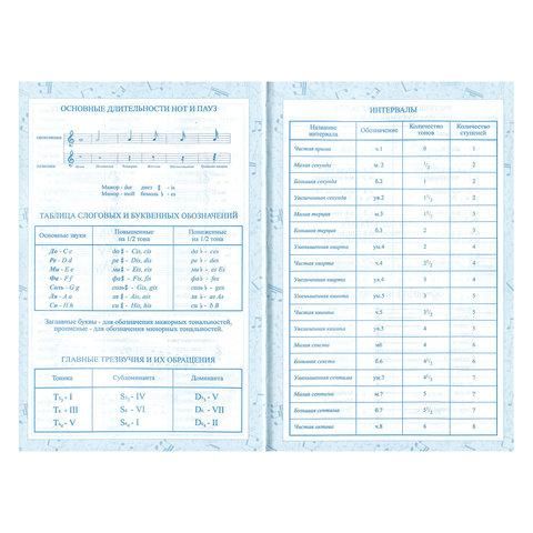 Дневник для музыкальной школы 140х210 мм, 48 л., твердый, BRAUBERG, справочный материал, "Музыка", 104975