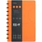 Бизнес-тетрадь В5+, 80л., Berlingo "Eclipse", клетка, на кольцах, с возм. замены блока, 80г/м2, пластик. (полифом) обложка, линейка-заклад., оранжевая
