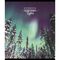 Тетрадь А5, 48 л., ПЗБМ, скоба, клетка, фольга, выборочный TWIN лак, "Северное сияние" (5 видов), 029235