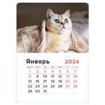 Календарь отрывной на магните 130*180мм склейка OfficeSpace "Mono - Cute cat", 2024г.