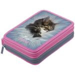 Пенал 2 отделения, 200*140*45 Berlingo "Meow friend 2", полиэстер