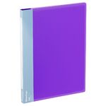 Папка с пружинным скоросшивателем Berlingo "Envy", 17мм, 700мкм, с внутр. карманом, фиолетовая