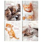 Тетрадь А5, 96 л., BRAUBERG, гребень, клетка, "Котики" (4 вида в спайке), 404425