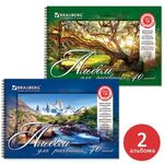 Альбомы для рисования А4 40 л., КОМПЛЕКТ 2 шт., гребень, обложка картон, BRAUBERG, 205х290 мм, "Природа" (2 вида), 880031